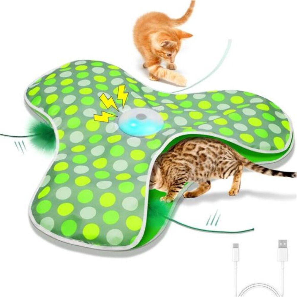 Interactive Cat Toys Rechargeable,Moving Concealed Feathers,Real Mouse